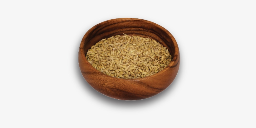 Whole Barley - Ottawa Valley Grain Products Inc., transparent png
