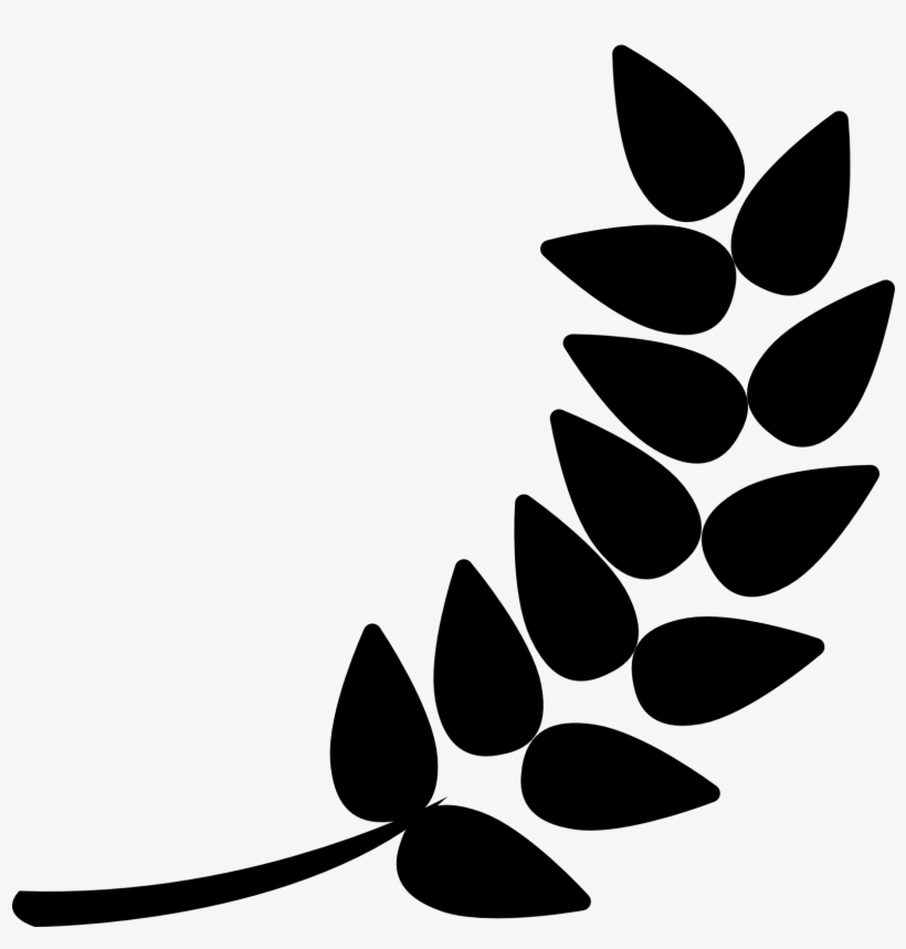 Barley Png Download - Barley Free Icons, transparent png