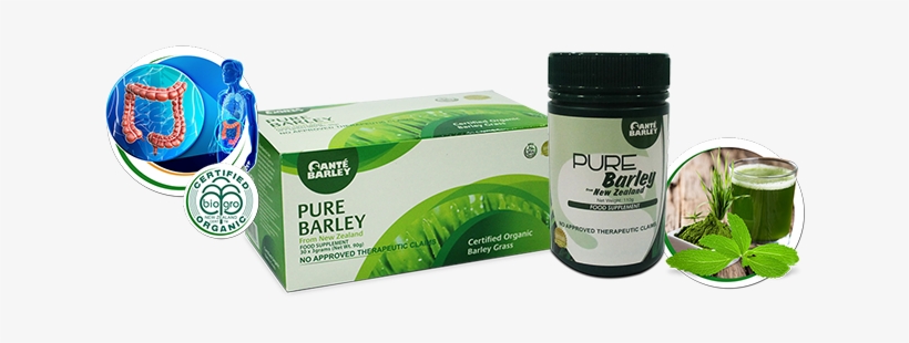Sante Barley Prduct Description Image Header 1 - Z Natural Foods Barley Grass Powder - Organic 55 Lbs, transparent png