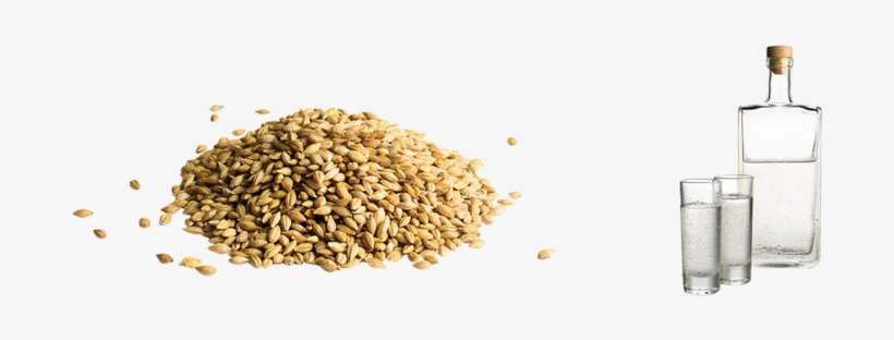 Barley Alcohol - Ohra N.v., transparent png