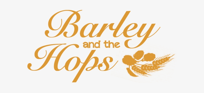 Guitar, transparent png