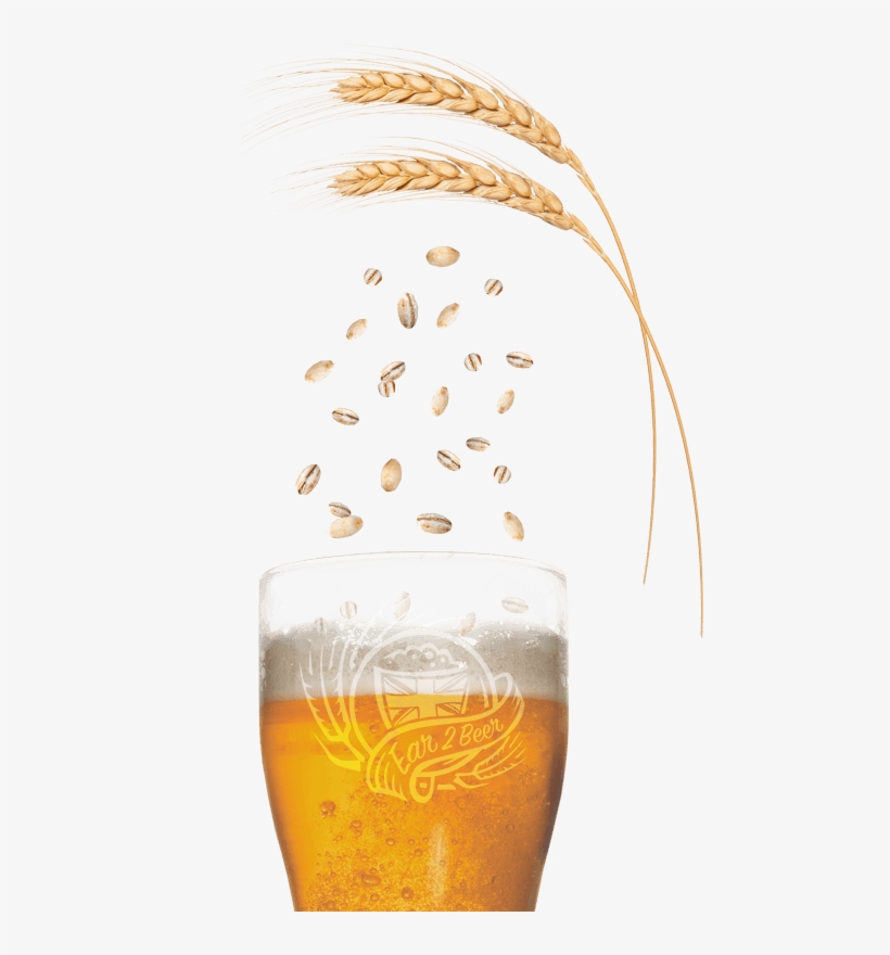 Calling All Malting Barley Growers Free Beer Enter - Beer Barley Png, transparent png
