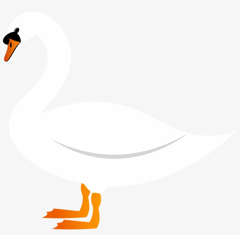 Swan Png, transparent png