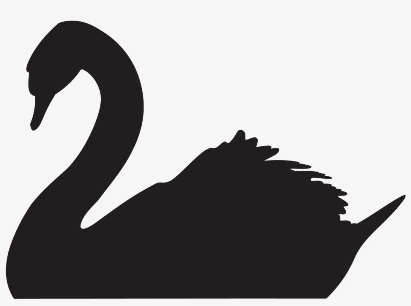 Pagelines-bsri Swan Transp - Black Swan Nights, transparent png