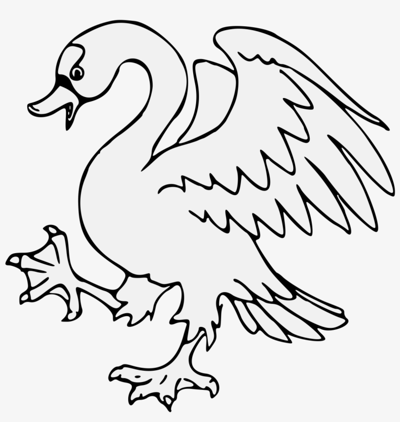 Details, Png - Duck, transparent png