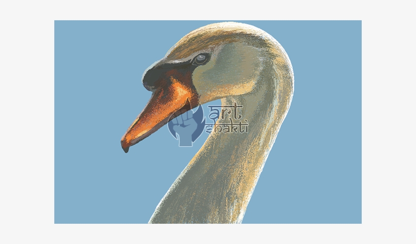 Swan Graphics Art Painting Blue Sky - Trumpeter Swan, transparent png