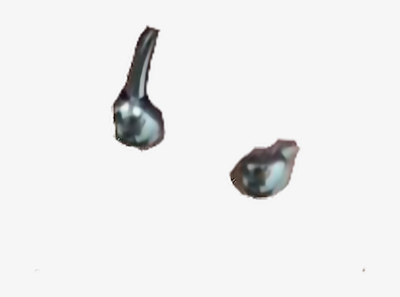 Piercing Piercings Septopiercing Septo Freetoedit - Piercing No Septo Png, transparent png