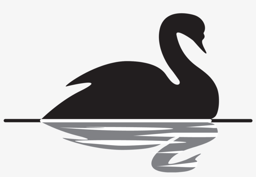 Image Black And White Library Swan Black And White - Black Swan Taleb, transparent png