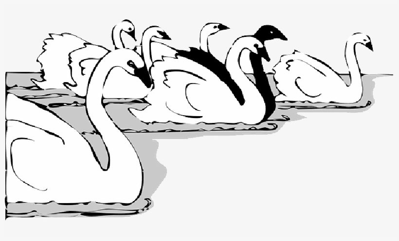 Mb Image/png - 天鹅 矢量 图, transparent png