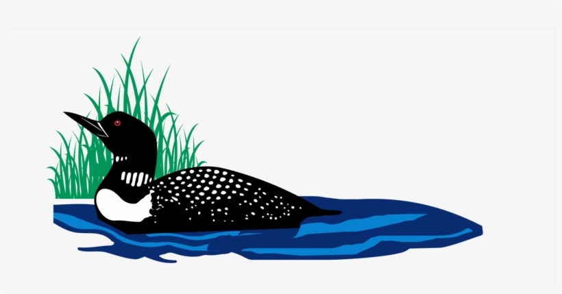 Lakefront Builders Of Maine Png Royalty Free Download - Loon Clipart, transparent png