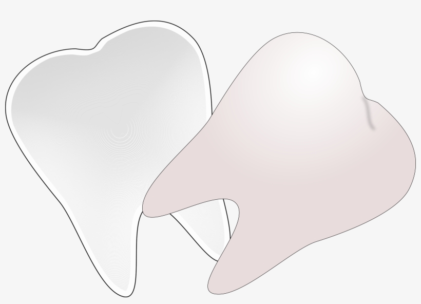 This Free Icons Png Design Of Tooth Cut In Half, transparent png