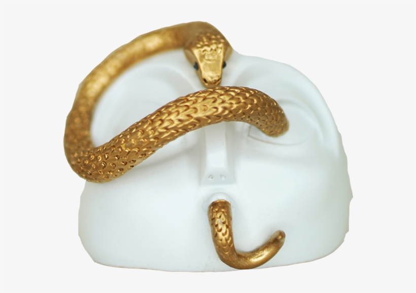 "snake Gets In Your Eyes" - Snakes, transparent png