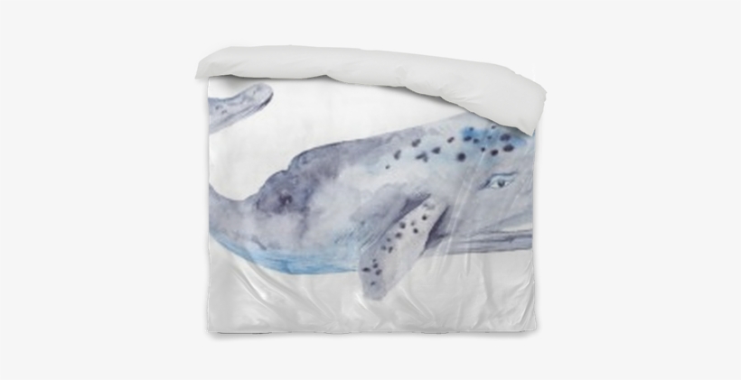 Watercolor Whale, transparent png