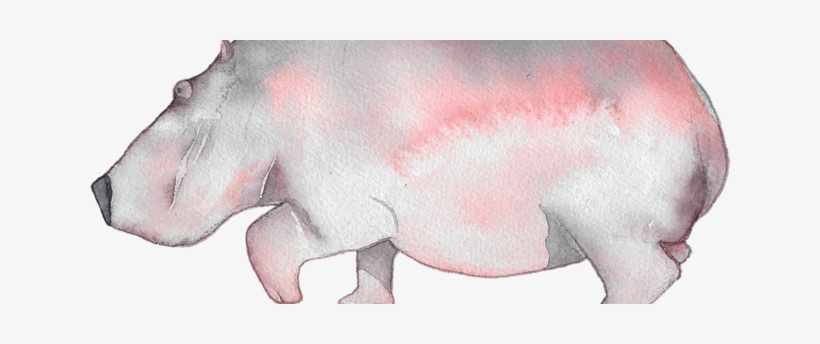 Hippopotamus, transparent png
