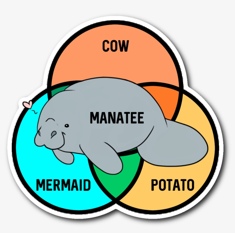 What Even Are Manatees Sticker - Burger Machen Mich Glücklich Mousepad, transparent png