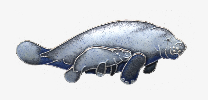 Manatee & Calf Pin, transparent png