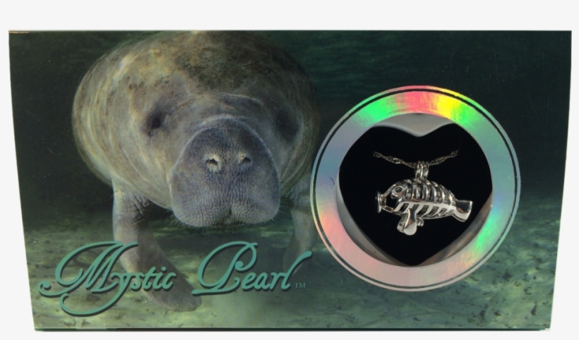 Manatee Pearl, transparent png