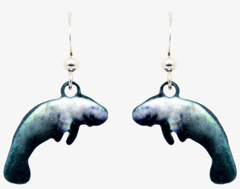 Manatee, transparent png