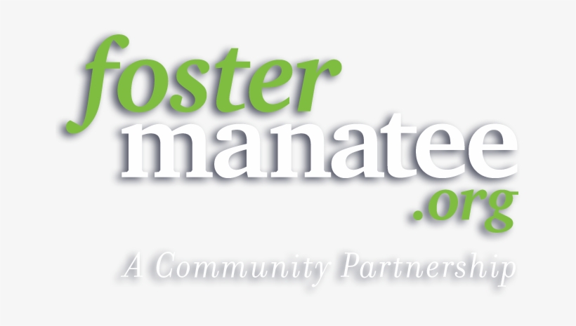 Logo, transparent png