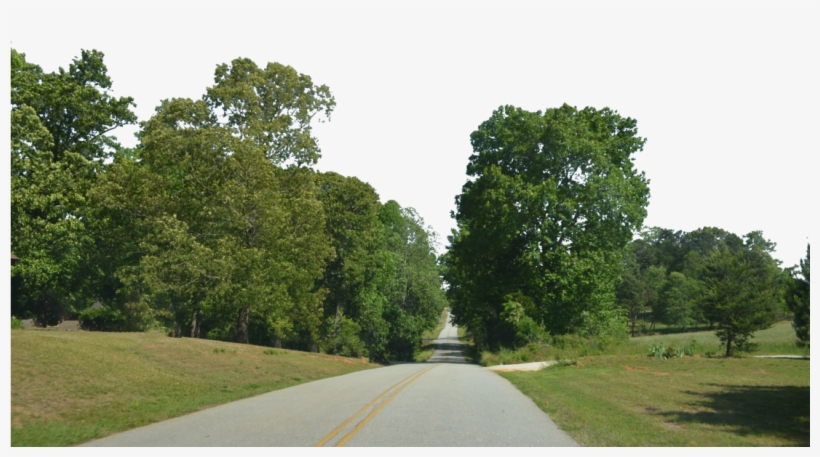Forest Road Png, transparent png