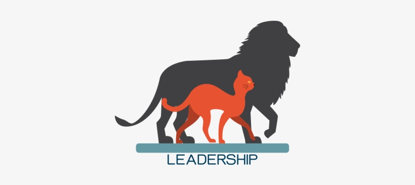 Which One Do You Need In Your Business - Attitude Dont Care Quotes, transparent png