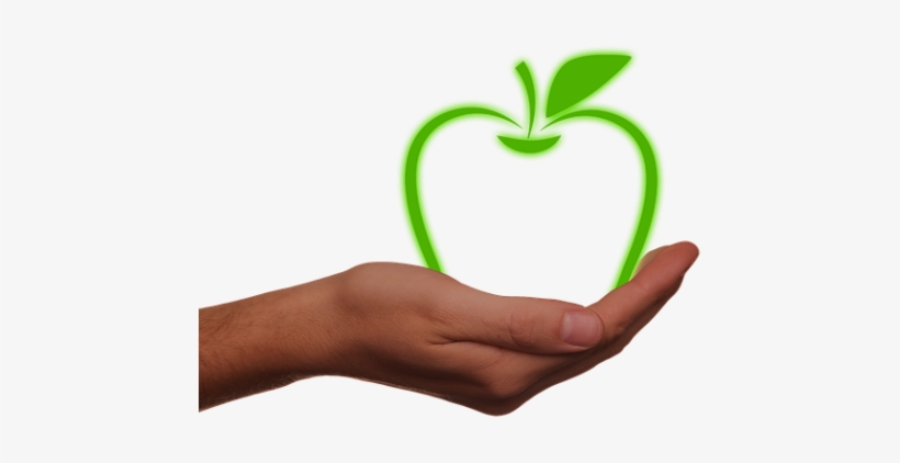 California Green Ribbon Schools Award Winners Announced - Apple Environment, transparent png