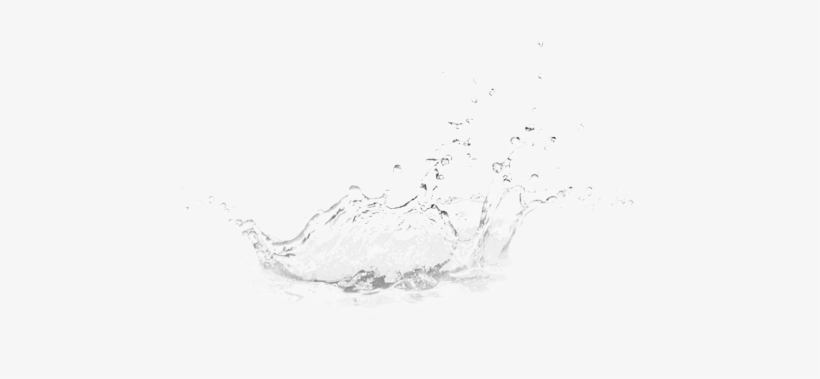 Sketch, transparent png