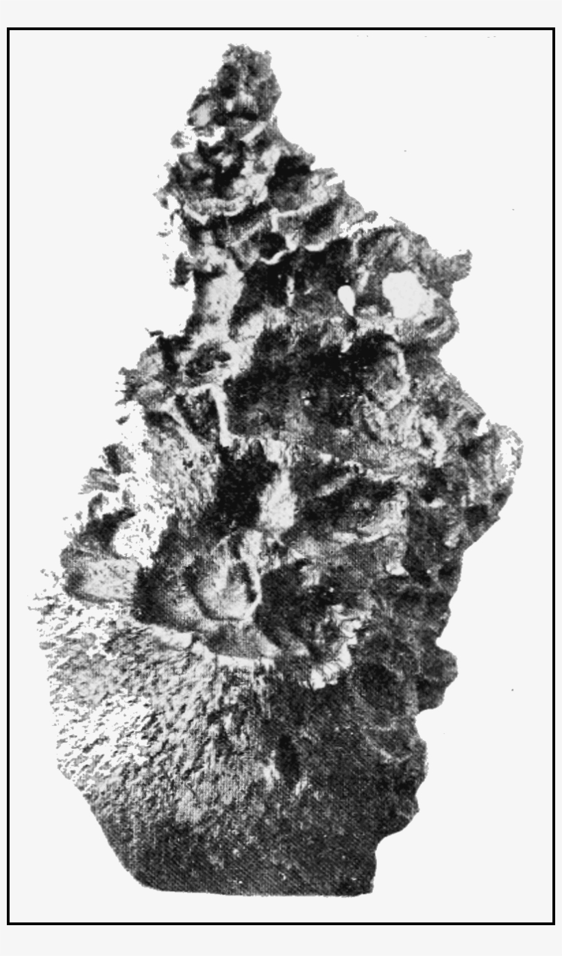 Psm V69 D031 Ngourema Meteorite Of Sudan Fell June - Mineral, transparent png