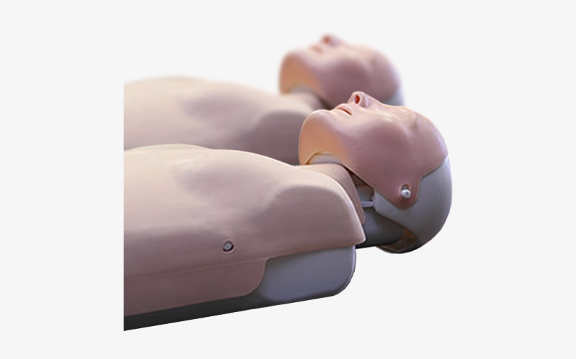 This Unit Of Competency Describes The Skills And Knowledge - First Aid Dummies, transparent png