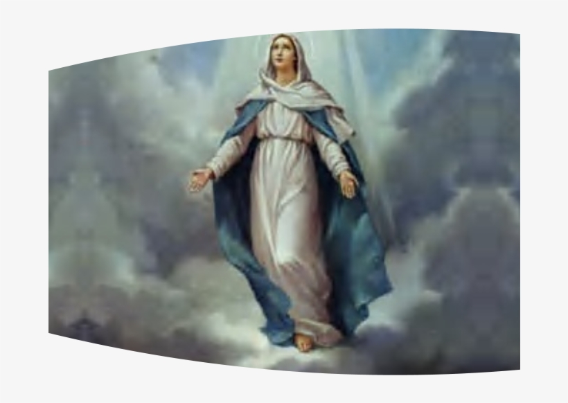 Banner Image - Mama Mary, transparent png