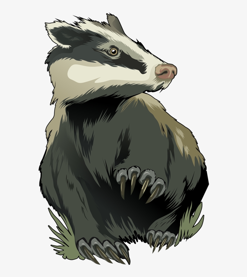 Badger Png - Badger Art, transparent png
