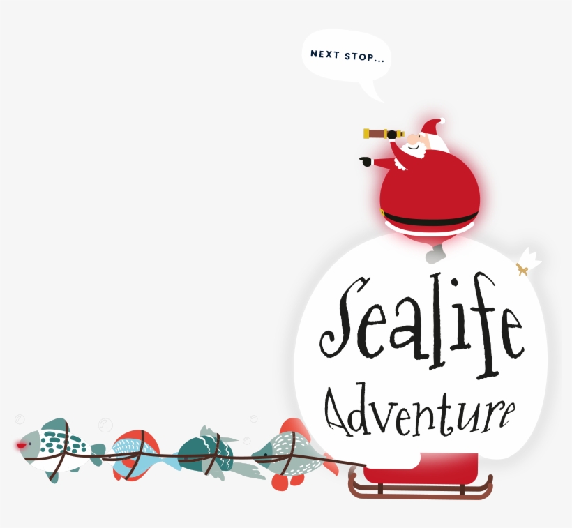 Every Day From 1st 24th December - Sea Life Christmas, transparent png