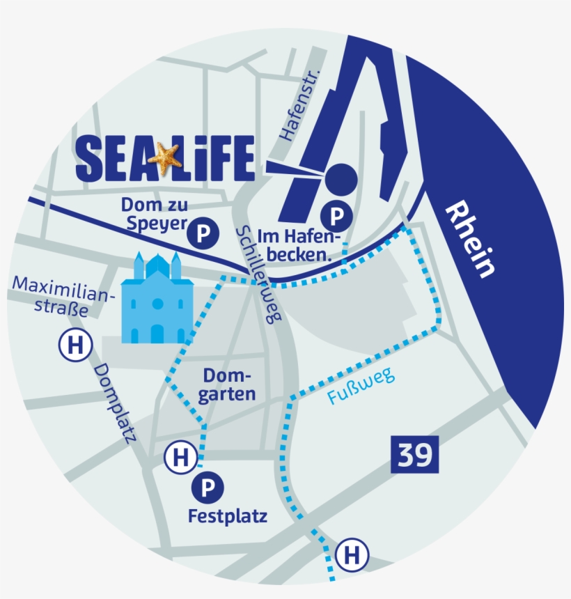 Sea Life - Circle, transparent png