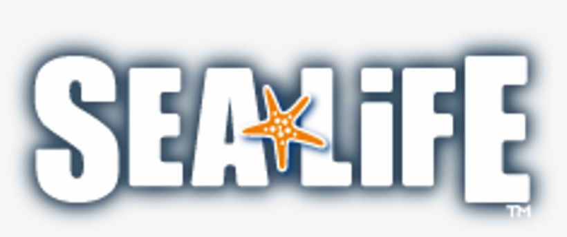 Sea Life [13 Images] Click Any Image To Expand - Sea Life Aquarium Png, transparent png