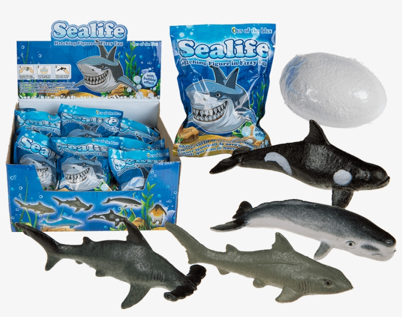 Hatch'em Growing Sealife Fizzy Egg - Sealife Hatching Toy, transparent png