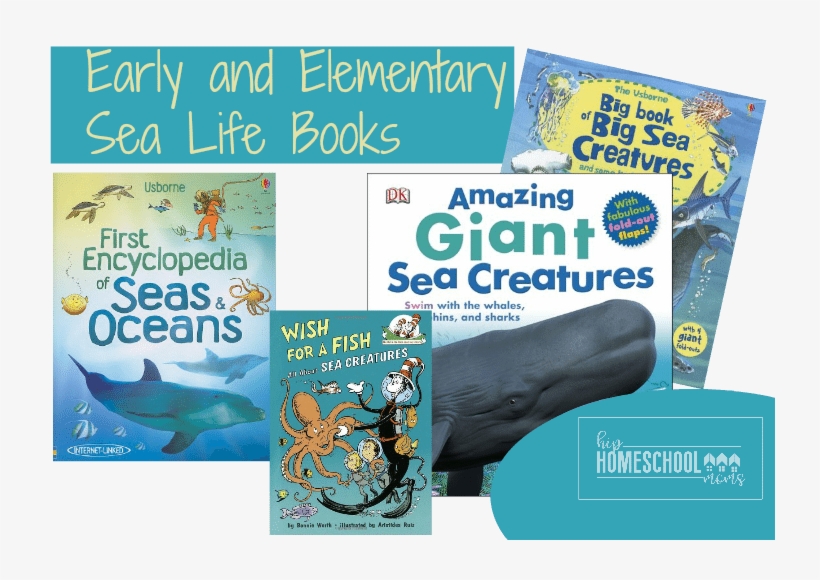 Your Students Will Love This Big List Of Sea Life Books - First Encyclopedia Of Seas & Oceans [book], transparent png