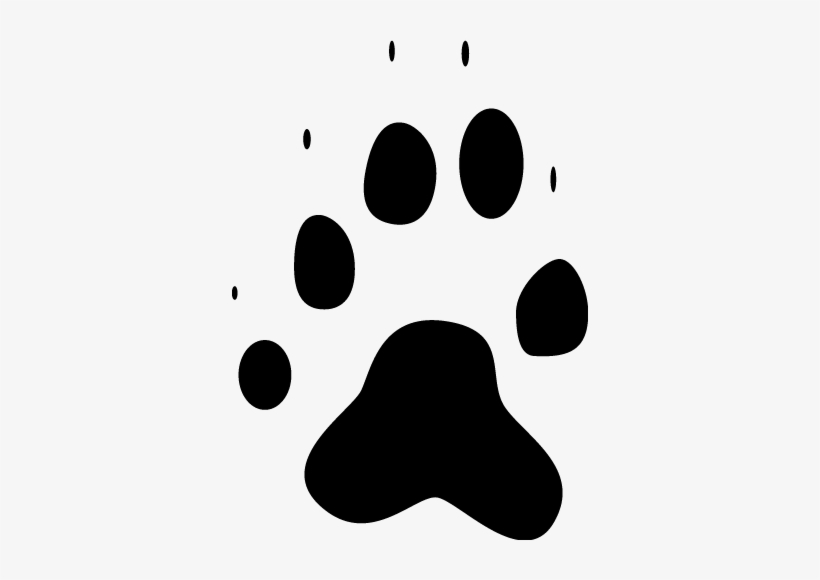 Hind Track, transparent png