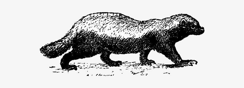Honey Badger Of Money - Honey Badger, transparent png