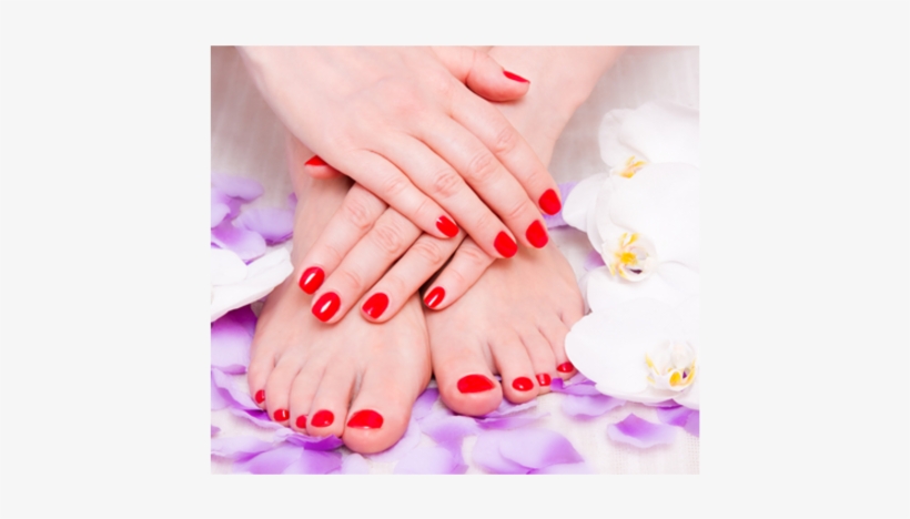 Nails Brows Lashes - Manicure Pedicure, transparent png
