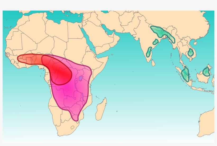 Bichiih Yee Adilohii Map - Antarctic Circle In World Map, transparent png