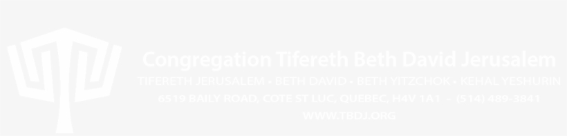 White Logo & Text, With Address - Logo, transparent png