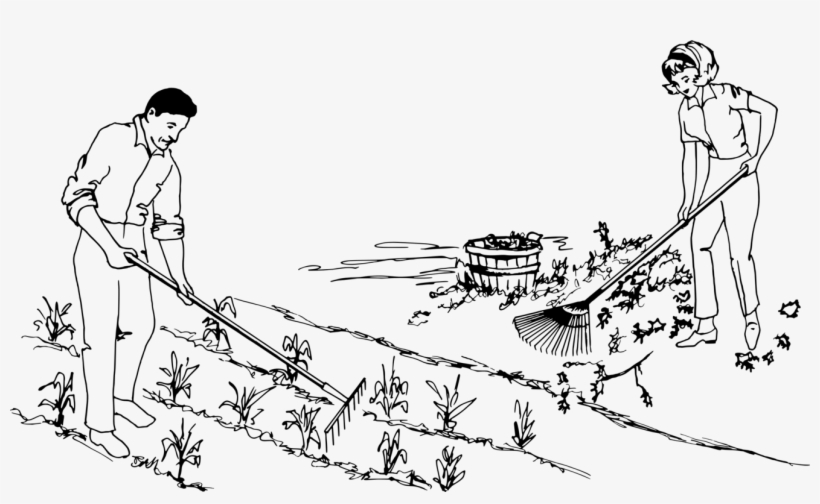 Clip Stock Rake Line Art Garden Computer Icons Free - Garden Drawing With Gardener, transparent png