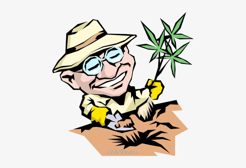 Cartoon Gardener Royalty Free Vector Clip Art Illustration - Cartoon, transparent png