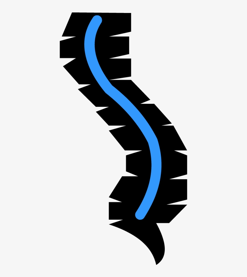 Spinal Cord - Spinal Cord Clipart Png, transparent png