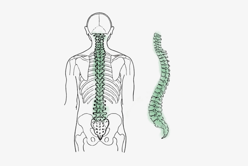 Causes Of Spinal Cord Injury - Hip Hip Hooray Mugs, transparent png