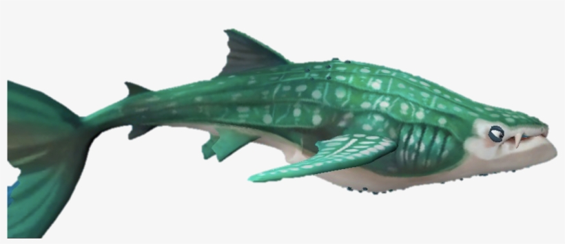 Level 0 Picture1 Copy - Whale Shark, transparent png