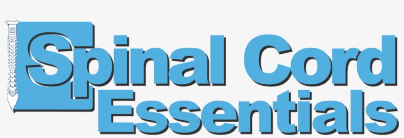 Spinal Cord Injury Education In Small Doses - Spinal Cord, transparent png
