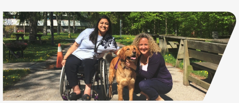 Our Vision & Mission - Companion Dog, transparent png