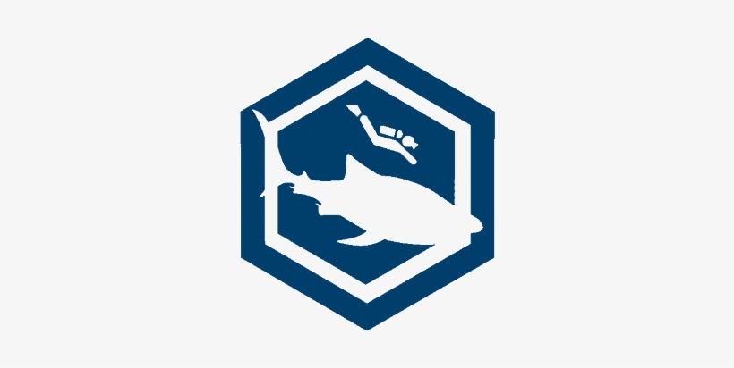 Whale Shark Ad Logo - Shine Melee, transparent png