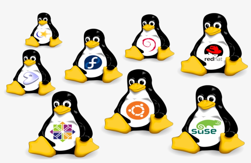 Linux Hosting Clipart Hosting Png - Linux Distributions Png, transparent png